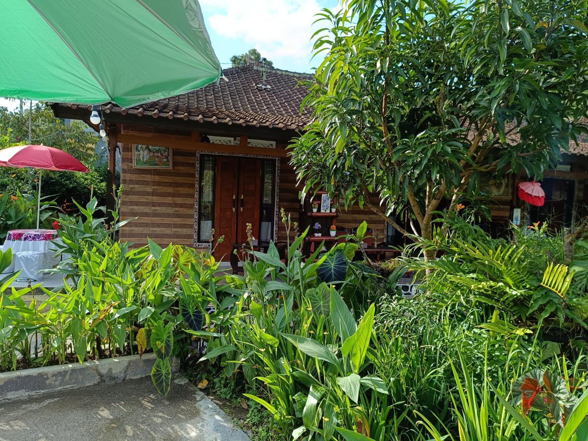 Gosela Homestay Munduk Exterior foto