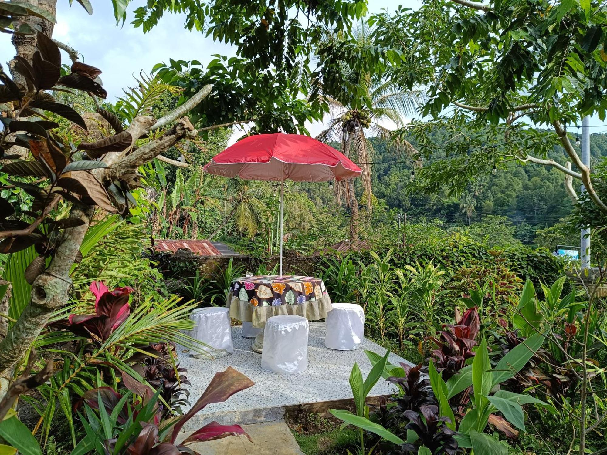 Gosela Homestay Munduk Exterior foto